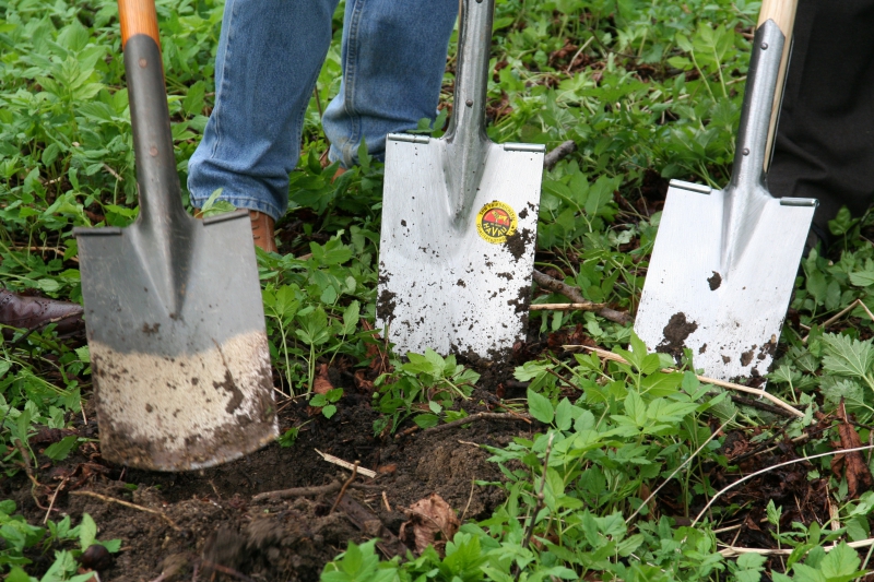 pepiniere-OLLIERES-min_work-lawn-flower-tool-green-backyard-1103633-pxhere.com